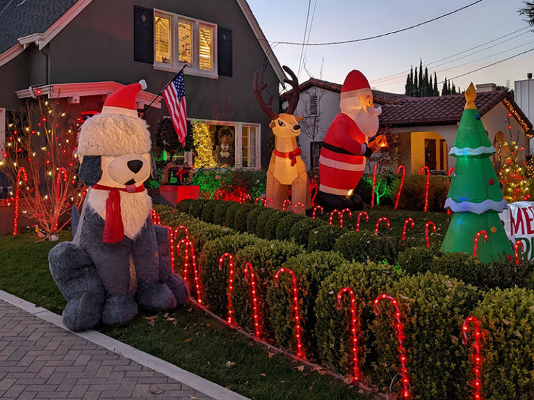 Willow Glen Holiday Light Tours San Jose Brew Bike